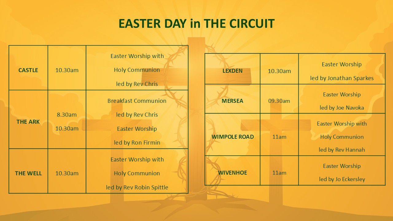 8-3-2026 Morning - Circuit